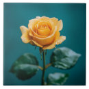 Recherche de uniques carreaux Classique