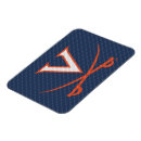 Recherche de cavaliers magnets Cavs