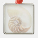 Recherche de coquille ornements Animaux