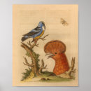Recherche de histoire naturelle art Illustration