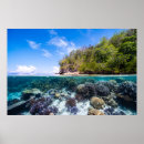 Suche nach unterwasser poster Strand
