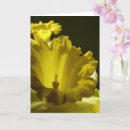 Suche nach heller hintergrund karten Blume