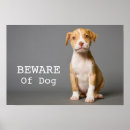Suche nach pit bull poster Welpen