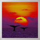 Recherche de queue baleines posters Océan