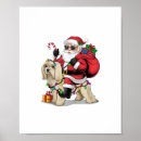 Suche nach havaneser poster Wolf