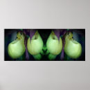 Recherche de la chevre posters Pour elle