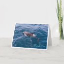 Recherche de bottlenose Océan