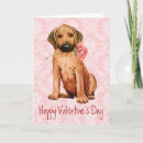 Suche nach rhodesian ridgeback hunde karten Rassenstücke