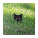 Suche nach panther fliesen Katzenliebhaber