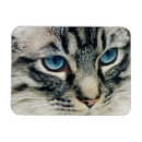 Suche nach augen magnete Katzenliebhaber