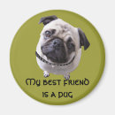 Recherche de pug dog Chiens