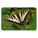 Suche nach western magnete Schmetterling