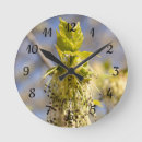 Recherche de vergers horloges Nature