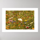 Suche nach blumenwiese poster Sommer