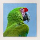 Suche nach ara puzzle Vogelvogel