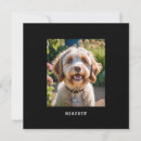 Recherche de chien vœux cartes Amoureux des animaux