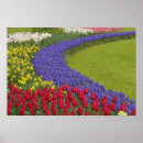 Recherche de keukenhof holland posters Feuillage