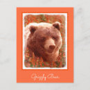 Suche nach grizzly postkarten Tragen