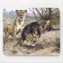 Suche nach afrikanische löwen mousepads Tierwelt