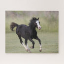 Recherche de poney blanc puzzles Noir et blanc