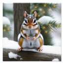 Suche nach chipmunk foto poster Tierwelt