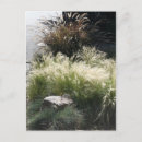 Recherche de grass cartes postales Pour eux