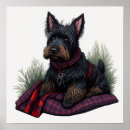 Recherche de scottish posters Chiot