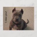 Suche nach trauriges tier postkarten Tiere