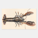 Suche nach hummer aufkleber Schalentiere