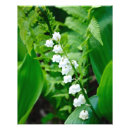 Recherche de muguet Vert