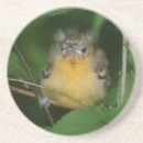 Suche nach bird untersetzer Vögel