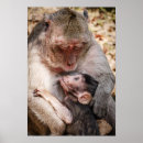 Suche nach tierthemen poster Keine menschen