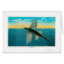 Suche nach fliegender fisch Catalina