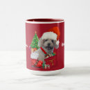 Recherche de arbre rouge tasses Family