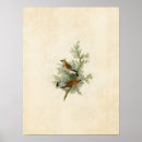 Suche nach vogeldrucke poster Wandkunst