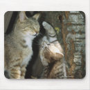 Suche nach zwei tiere mousepads Nahaufnahme