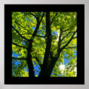 Suche nach grüne grenze poster Natur
