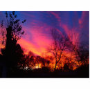 Recherche de le soleil photo sculptures Jaune