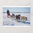 Suche nach verdorbene postkarten Alaska