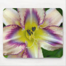 Suche nach der weißen lilie mousepads Botanisch
