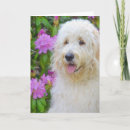 Recherche de impressionisme vœux cartes Pour tous