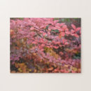 Recherche de chute puzzles Automne