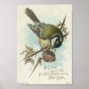 Suche nach bluetit poster Vintag