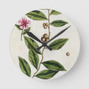 Recherche de de fines herbes Vert