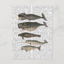 Suche nach vintage tiere postkarten Blume