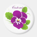 Recherche de viola magnete Pansement