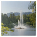 Recherche de lagune Arbre