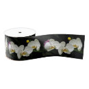 Recherche de orchidée rubans Tropical