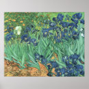 Suche nach van gogh blumen poster Iris