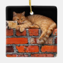 Recherche de mur ornements Mur en brique
